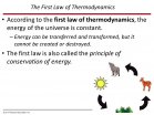 According to the first law