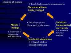 Biomechanical movements 4