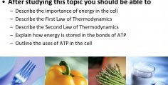 Describe the second law of thermodynamics