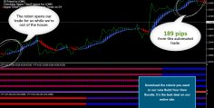 Robot Trading Software
