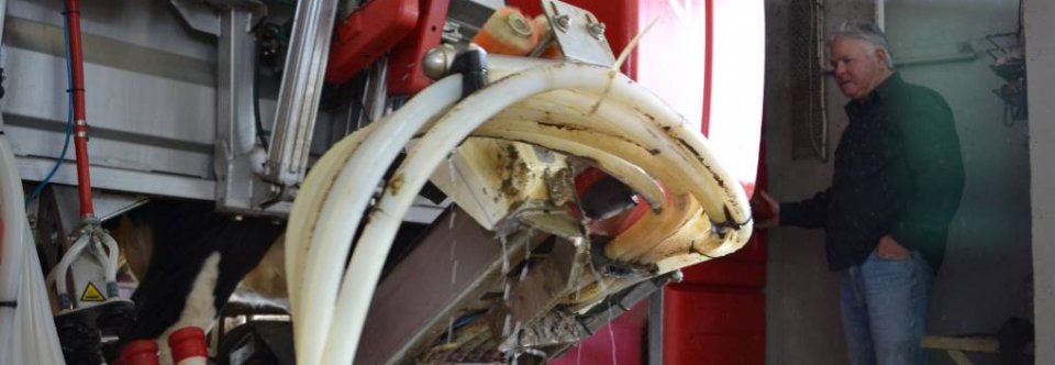 Bachelor of Mechatronics