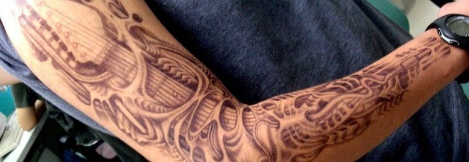 Biomechanical Pictures
