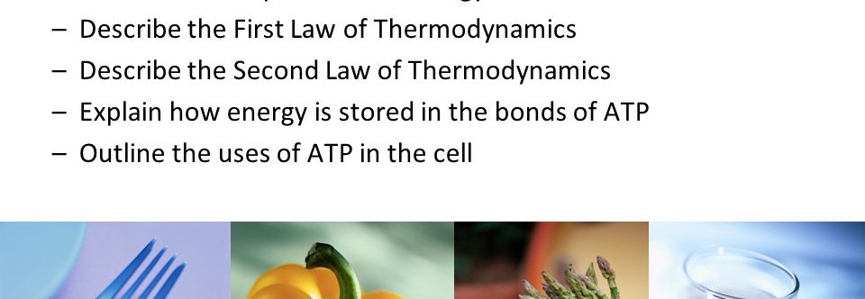 Describe the second law of thermodynamics