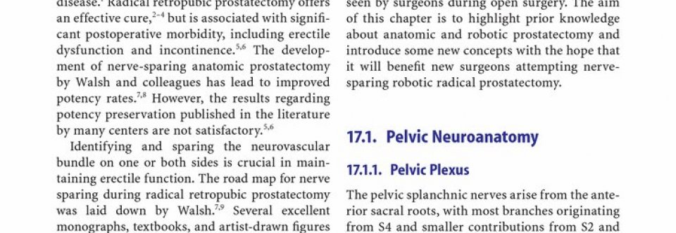 Nerve sparing Robotic prostatectomy