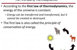 According to the first law of Thermodynamics