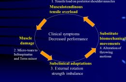 Biomechanical Movements