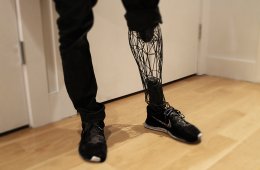 Biomechanical Prosthetics