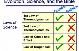 Evolution and second law of thermodynamics
