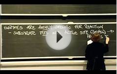 Research What Chemical and Biochemical Engineering Can Do