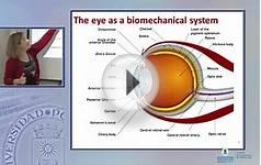 SFCM 1314 17 CORNEAL BIOMECHANICAL PROPERTIES FROM